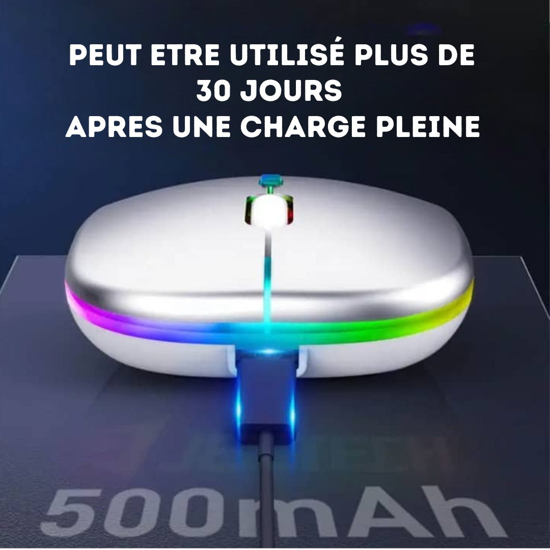 SOURIS SANS FIL RECHARGEABLE