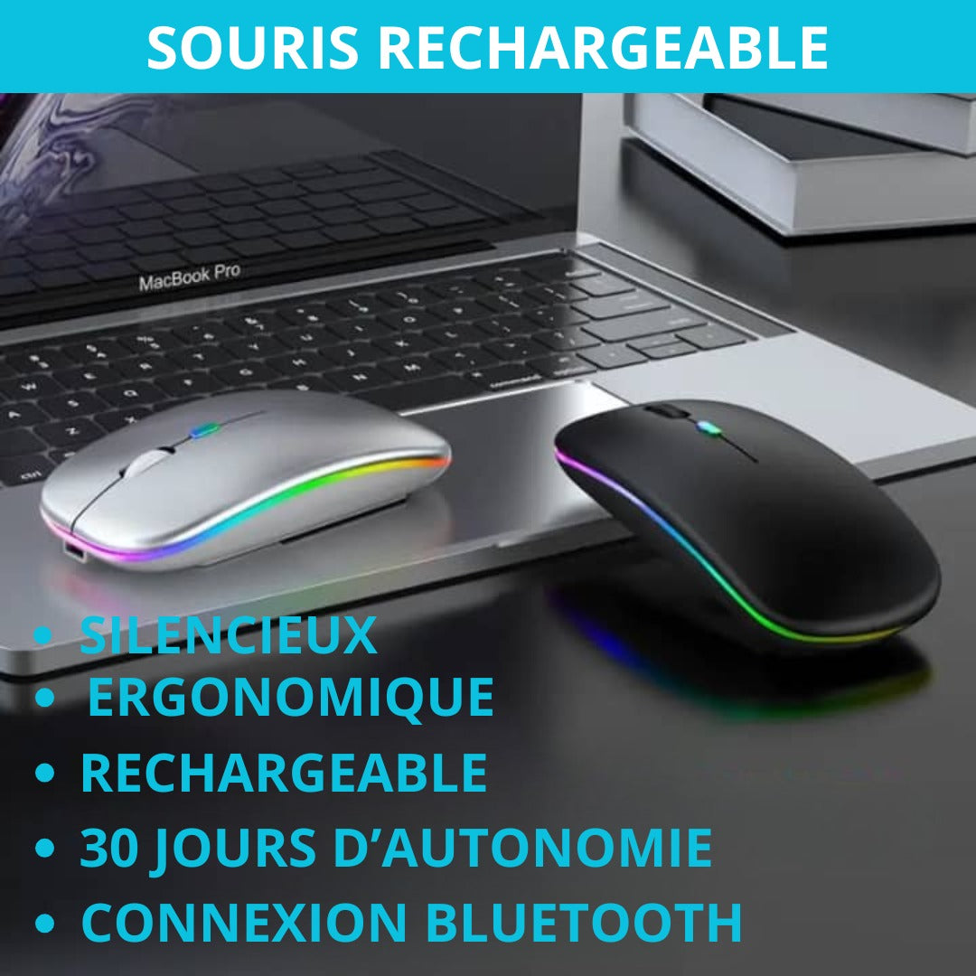 SOURIS SANS FIL RECHARGEABLE